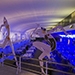 Allestimento Internazionali di Tennis