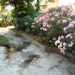 Cortile Balduina