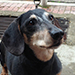 Filippo